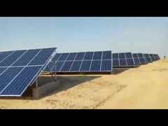 ডান ভিডিও নতুন